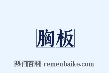 胸板是什么意思的图片